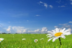 Sabaha olan hava proqnozu açıqlandı