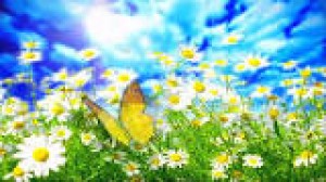 Bu günün hava PROQNOZU