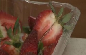 Çiyələklərə iynə sancan qadın saxlanıldı