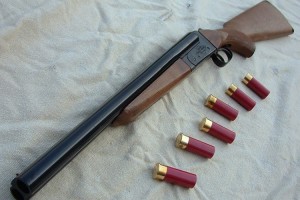 Ağdaş sakinindən qanunsuz silah götürülüb