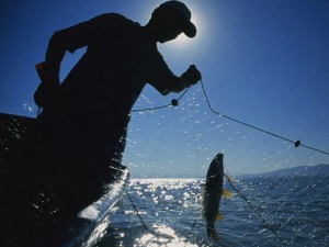 Xəzər dənizindən icazəsiz balıq ovlayan şəxs saxlanılıb