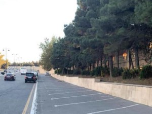 “Mətbuat prospektindəki parklanma inzibati xəta hesab edilir” - FOTO