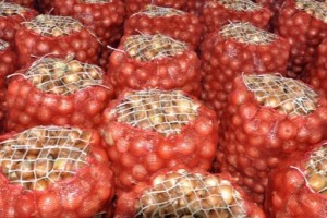 Soğanın qiyməti iki dəfə bahalaşıb -VİDEO