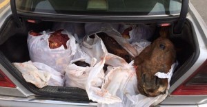 “Opel”dən 330 kiloqram at əti aşkar edildi - Xaçmazda