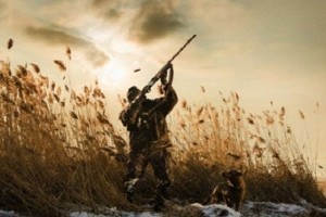 "ASAN xidmət" vasitəsilə 100-dən çox şəxsə ovçuluq bileti verilib