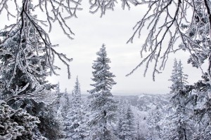 Alimlərin yeni iddiası: Buzlaq dövrü qayıdır