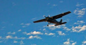 Təyyarə meşəlik əraziyə düşdü: 2 ölü