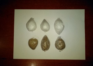 Narkotik vasitə və psixotrop maddəni daxili orqanında keçirmək istədi