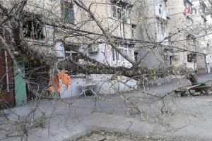 Mingəçevirdə ağac binanın üzərinə aşıb