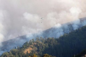 Qəbələdə meşə yanır: əraziyə helikopter və təyyarə cəlb edilib