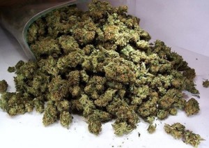 Külli miqdarda narkotik qanunsuz dövriyyədən çıxarılıb