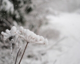 Bu gün üçün hava proqnozu AÇIQLANDI