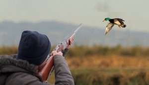 İcazəsiz ova cəhd edən şəxs saxlanılıb - Hacıqabulda