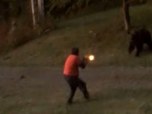 Şok kadrlar: nəhəng ayı evə hücum çəkdi - VİDEO