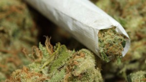 2 nəfərdən 10 kiloqram narkotik götürüldü