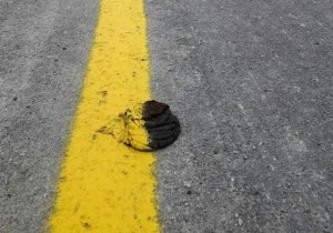 Azərbaycan Avtomobil Yolları Dövlət Agentliyinin işçilərinin gördüyü iş - FOTO