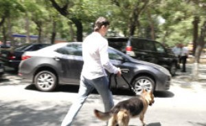 Bakıda heyvanlar üçün xüsusi avtomobil – “Zoo Taksi”