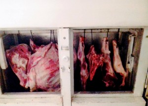 Həyətdən 84 kiloqram mənşəyi məlum olmayan ət aşkarlanıb - FOTO