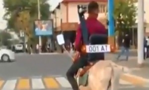 Uzunqulağa nömrə, güzgü və siqnal taxıb küçədə sürdü — VİDEO