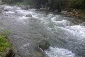 Hacıqabulda avtomobil kanala düşdü: sürücü ağır xəsarət alıb