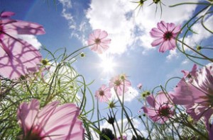 Bu günün hava PROQNOZU