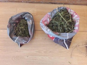 Balakən sakininin evində narkotik aşkarlanıb