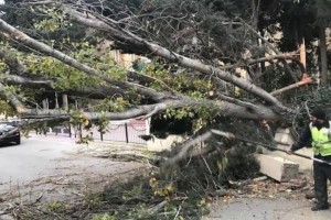 Güclü külək nəticəsində paytaxtda fəsadlar baş verib - AÇIQLAMA