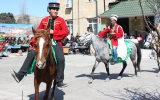 Novruz tədbirindəki at qadını təpikləyib xəstəxanalıq etdi