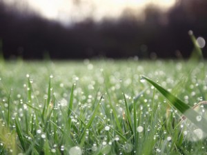 Azərbaycanda hava çiskinli olacaq