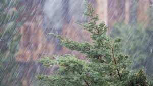 Sabah şimşək çaxacaq, yağış yağacaq, dolu düşəcək