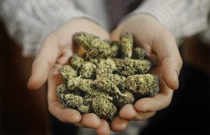 Külli miqdarda narkotik qanunsuz dövriyyədən çıxarılıb