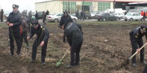 Cəlilabadda polis əməkdaşları bir gündə 250-dən artıq ağac əkdi