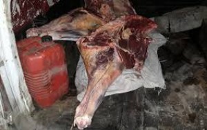 Avtomobildən mənşəyi məlum olmayan 180 kq ət aşkarlanıb - Ağdamda