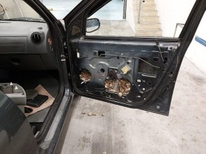 Tısbağaya görə Azərbaycan vətəndaşını Türkiyəyə buraxmadılar  - VİDEO