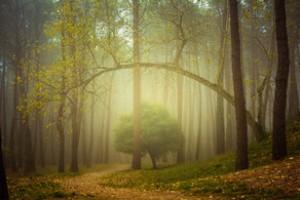 Bu günə olan hava proqnozu AÇIQLANDI