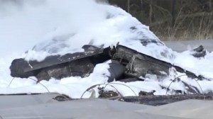 Aviaşirkət rəhbəri təyyarə qəzasında həlak olub - VİDEO