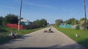 Qazları vuran sosial şəbəkə “Ulduzu” - VİDEO