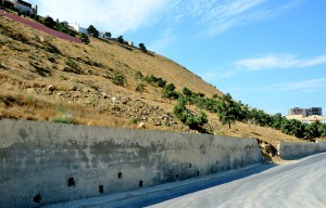 Badamdarda sürüşmə sahəsindəki aktivlik gecə boyu davam edib
