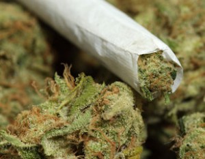 Evdən 97 kiloqramdan artıq çətənə kolu və marixuana aşkarlanıb