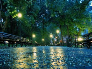 Yanvar ayının ilk günü üçün hava proqnozu açıqlanıb