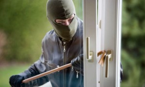 Tərtərdə oğurluqla məşğul olan şəxslər saxlanılıb