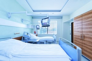 Gürcüstanda 13 nəfər "donuz qripi"ndən ölüb