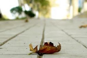 Payızın gəlişinə sayılı saatlar qaldı