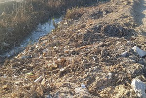 Dəmir yolu yaxınlığında insan kəlləsi aşkarlanıb - FOTO