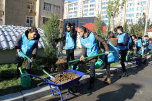 “Bizim həyət” layihəsi Sabunçuda icra olunur - FOTO