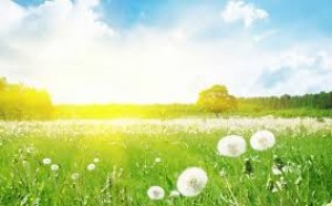 Aprel ayına olan hava proqnozu AÇIQLANDI