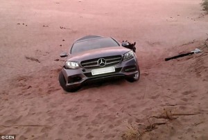 Şok kadrlar: Eşşəklər "Mercedes"-i "oğurladı" – VİDEO