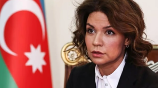 Nərminə Mustafayeva səfir təyin edildi 