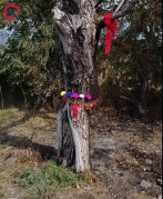 Maşında yanaraq ölən Əfqan 6 ay əvvəl evlənibmiş   - FOTO