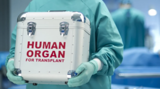 Bakıda kök hüceyrə transplantasiyası ediləcək – QƏRAR 